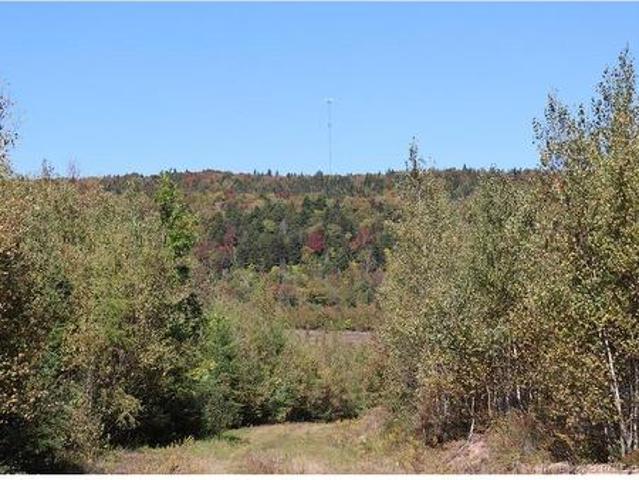 Land for sale in New Brunswick