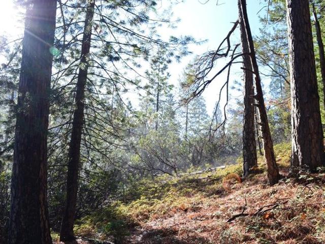 Land for sale in California