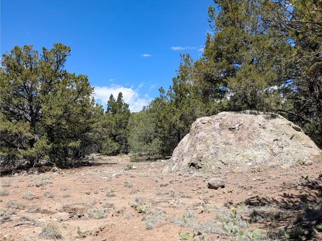 Land for sale in Crestone, Colorado