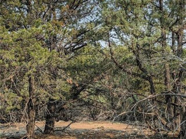 Land for sale in Crestone, Colorado