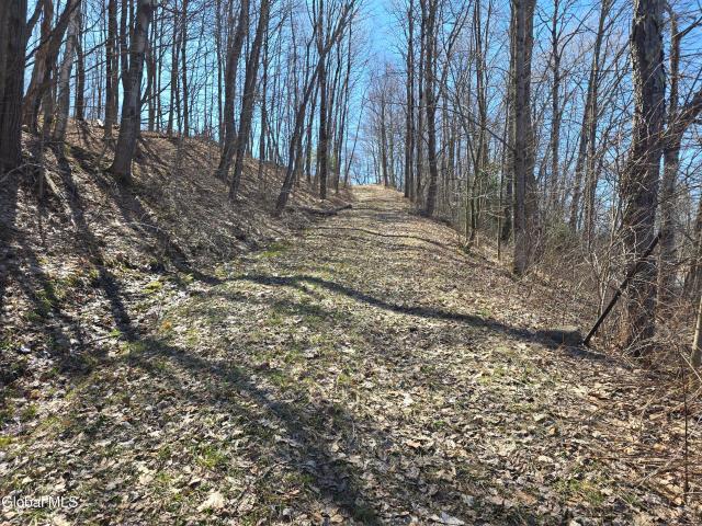 Land for sale in Berlin, New York