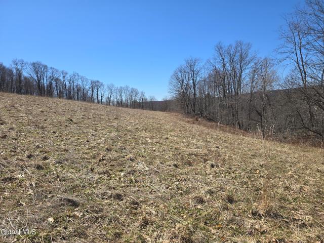 Land for sale in Berlin, New York