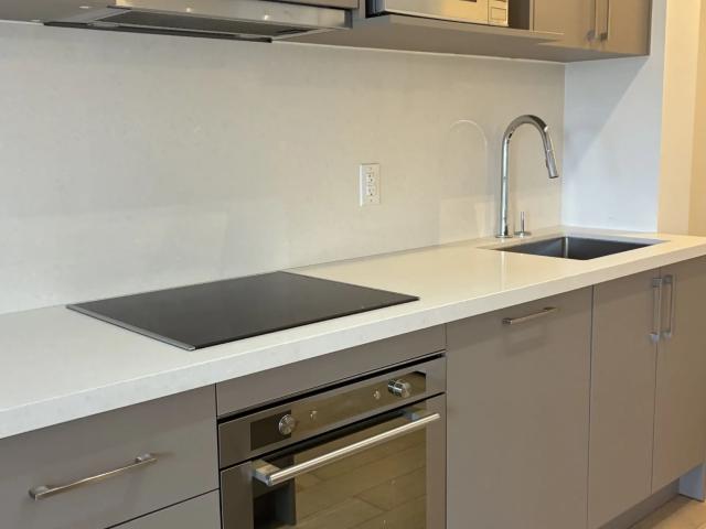House for rent in University—Rosedale, Toronto