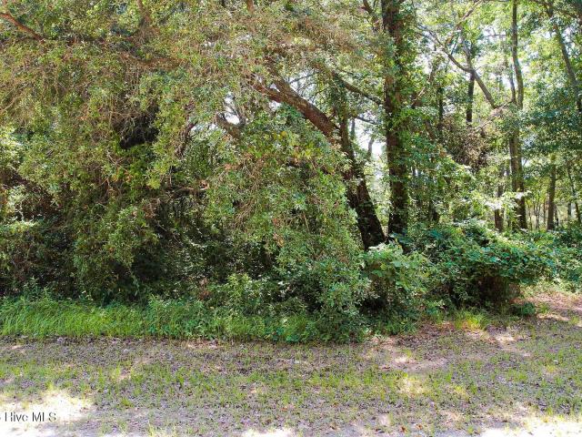 Land for sale in Ash, North Carolina