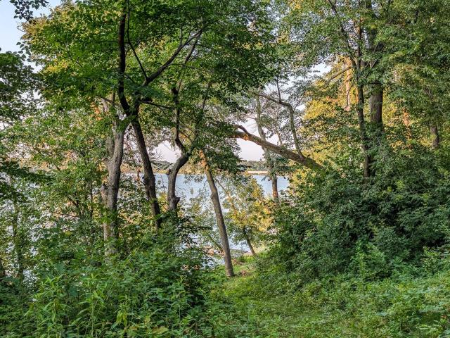 Land for sale in Albert Lea, Minnesota