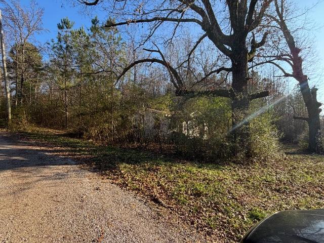 Land for sale in Russellville, Alabama