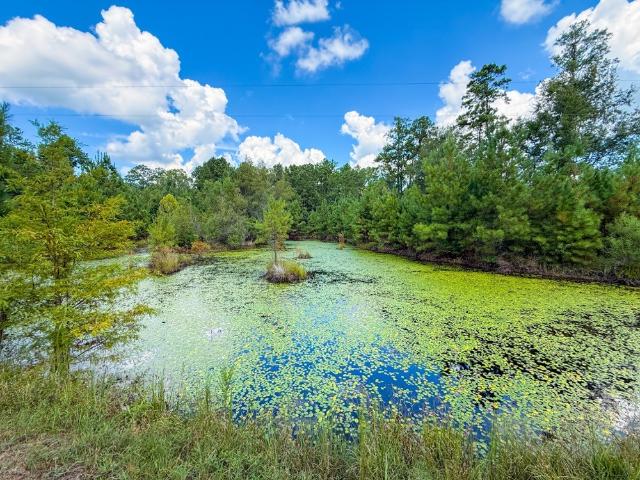Farm for sale in Jasper, Jasper County