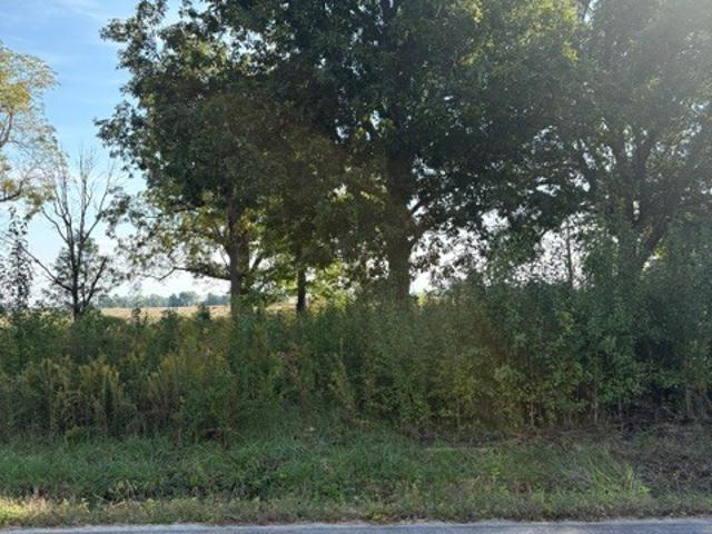 Land for sale in Pittsboro, Hendricks County