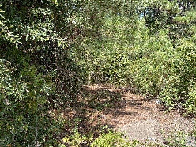 Land for sale in Atlanta, Cass County