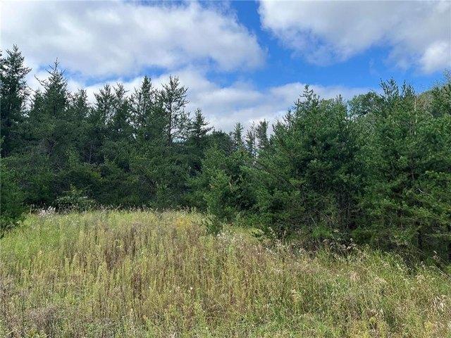 Land for sale in Pine River, Minnesota