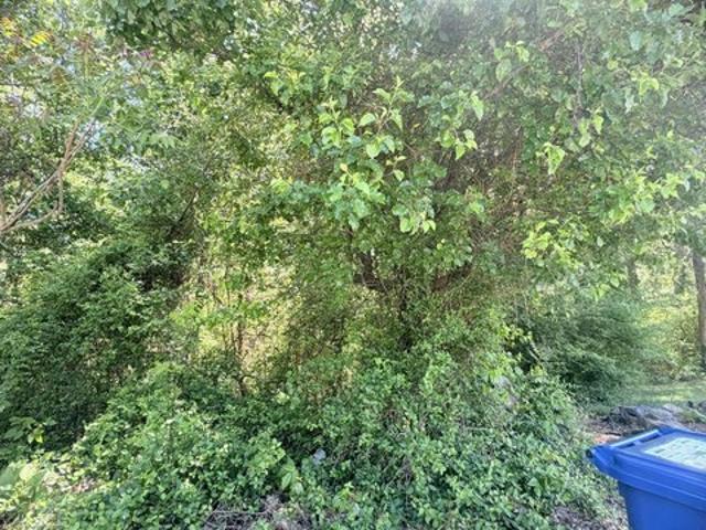 Land for sale in Chatham, North Carolina
