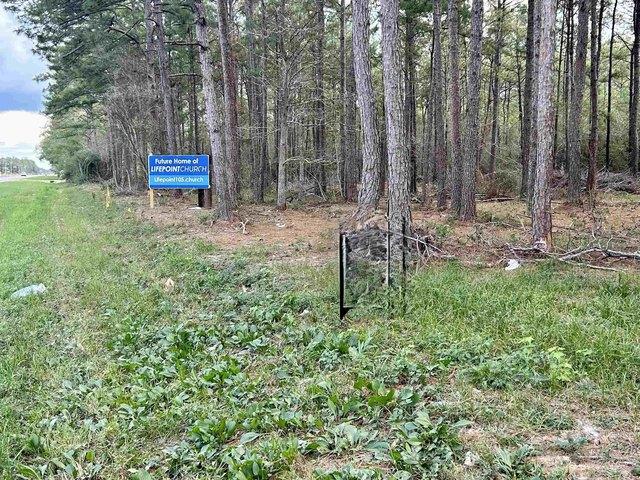 Land for sale in Sour Lake, Texas
