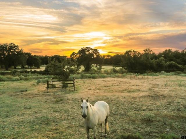 Farm for sale in Wise, Texas