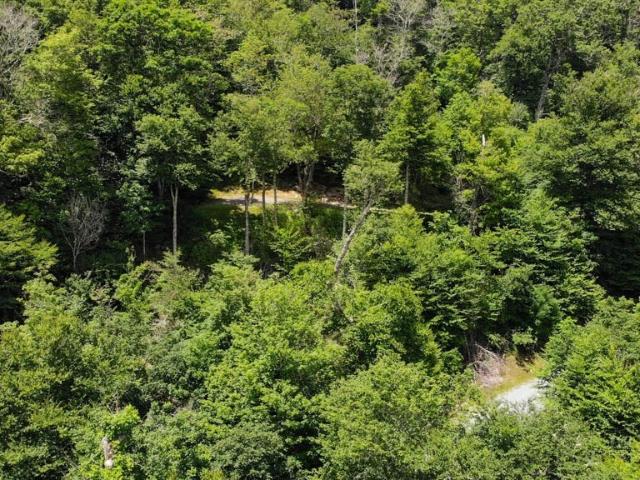Land for sale in Avery, North Carolina
