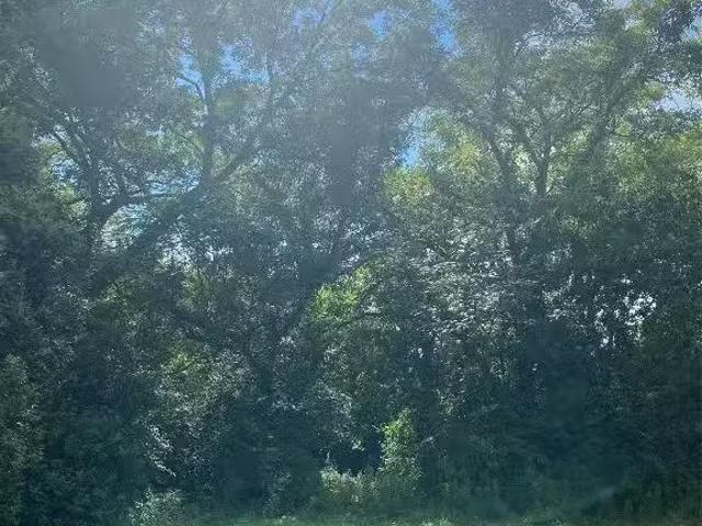 House for rent in Selma