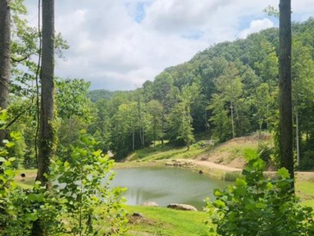Land for sale in Powell, Kentucky