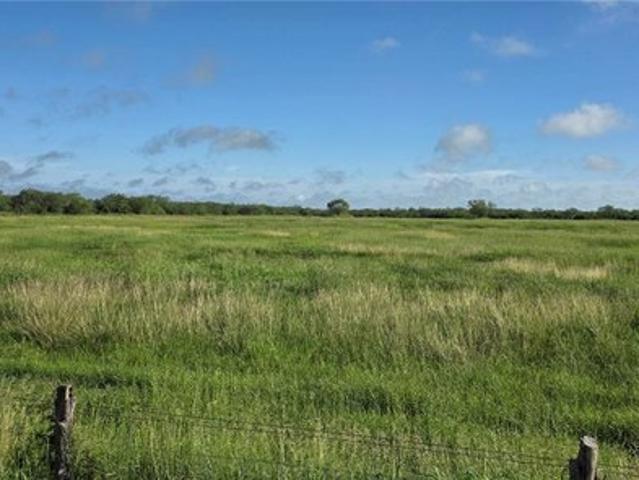 Farm for sale in Premont, Texas