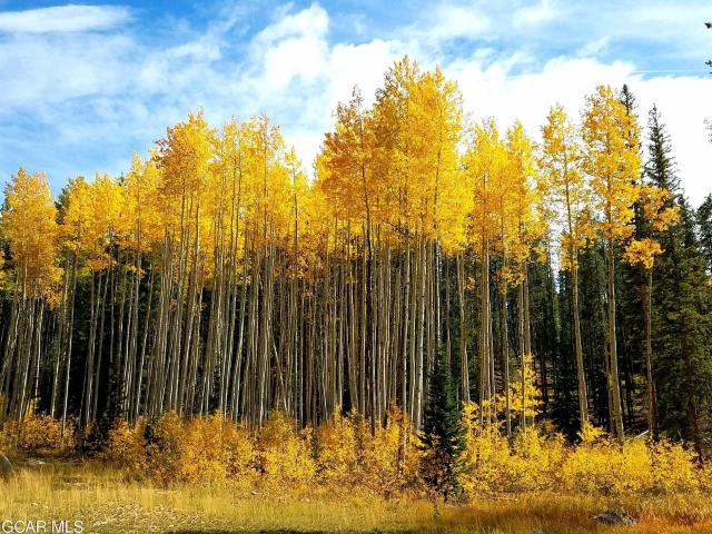House for sale in Fraser, Colorado