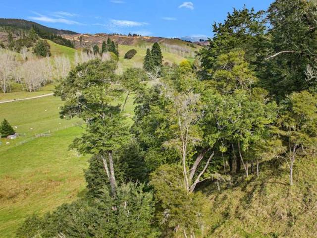 Property for sale in Cable Bay, Nelson Bays