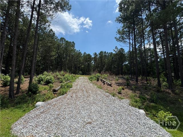 Land for sale in Carlton, Georgia