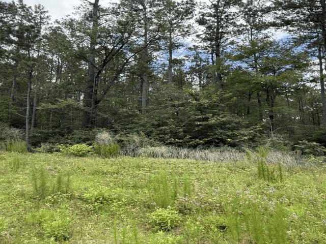 Land for sale in Texas Grand Ranch, New Waverly