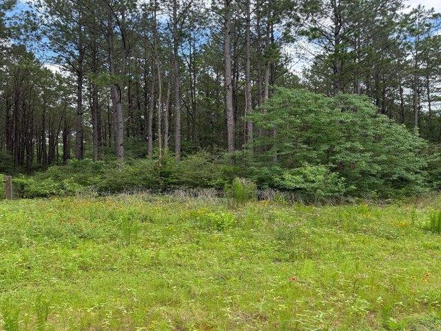 Land for sale in New Waverly, Walker County