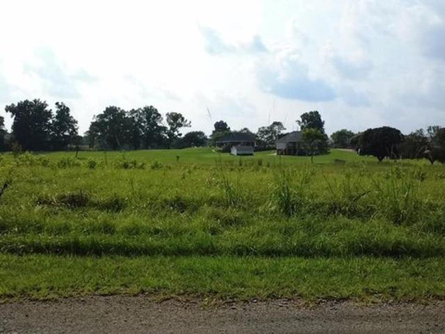 Land for sale in Moody, St. Clair County