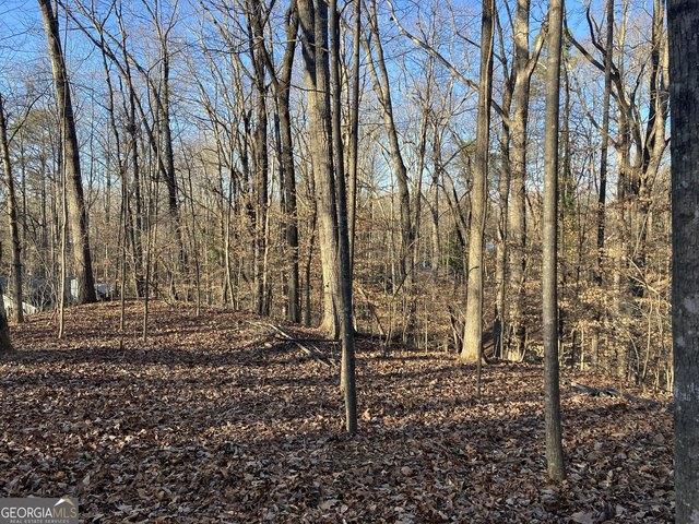 Land for sale in Mountain Park, Georgia