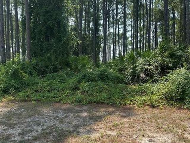 Land for sale in Carrabelle, Florida