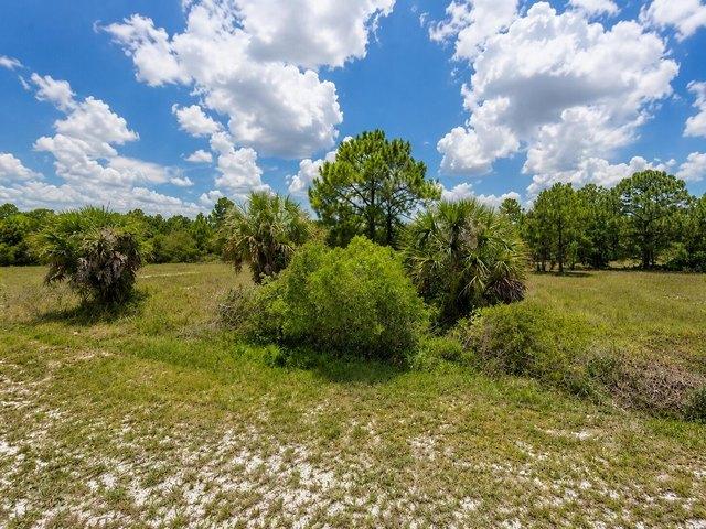 Land for sale in Clewiston, Florida