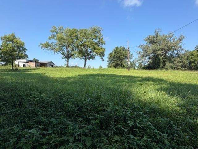 Land for sale in Haralson, Georgia