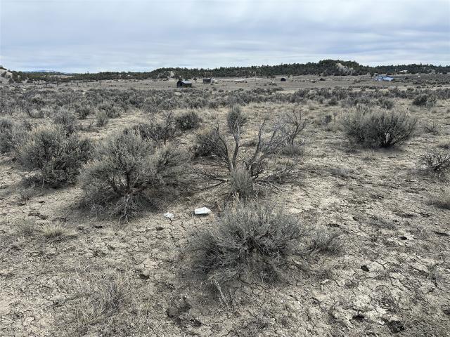 Land for sale in Los Ojos, New Mexico