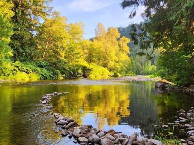 House for sale in Morton, Washington