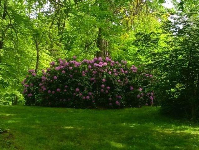 Land for sale in Orwell, Ohio