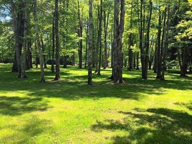 Land for sale in Orwell, Ohio