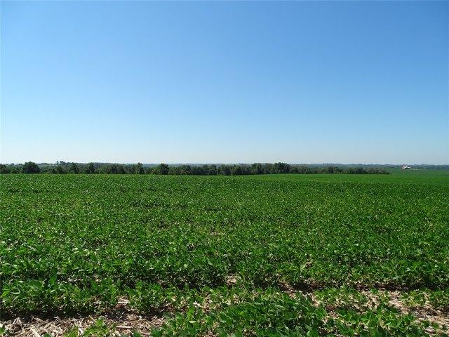 Land for sale in Plum City, Wisconsin