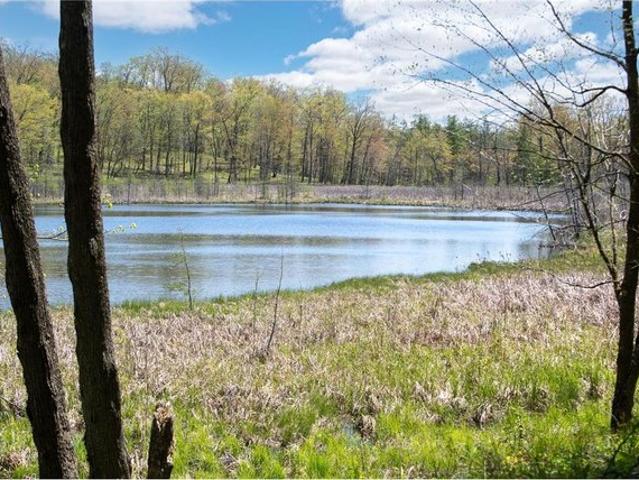 Land for sale in Balsam Lake, Wisconsin