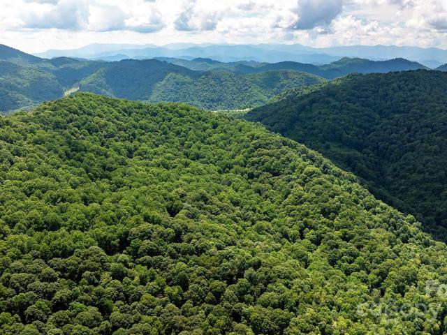 Land for sale in Mars Hill, North Carolina