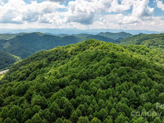 Land for sale in Mars Hill, North Carolina