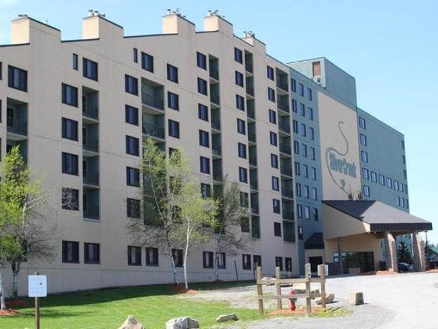 Condo for sale in Snowshoe, Pocahontas County