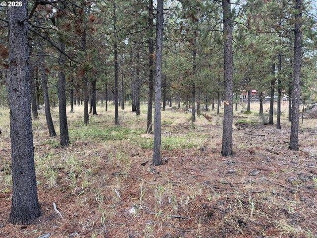 Land for sale in Oregonia