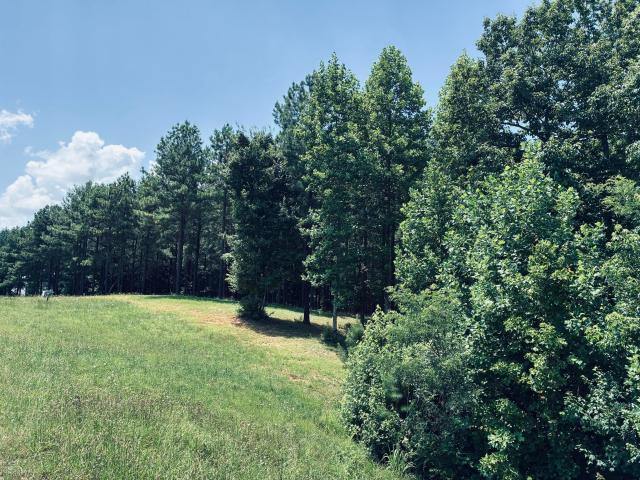 Land for sale in Tennessee