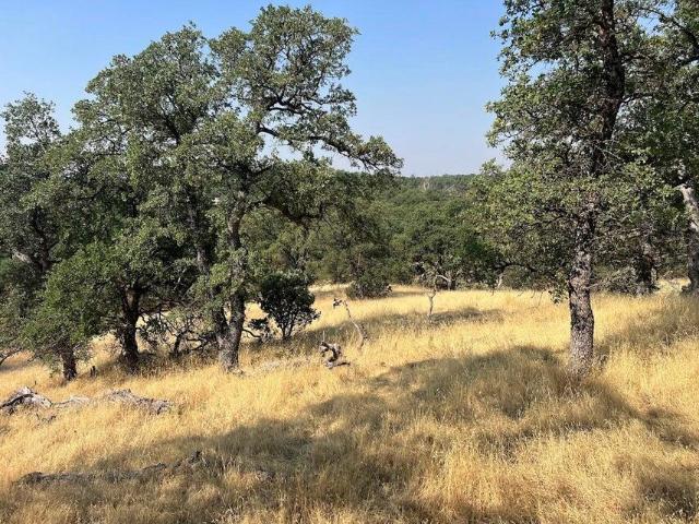 Land for sale in California