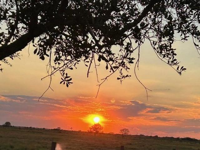 Land for sale in Needville, Texas