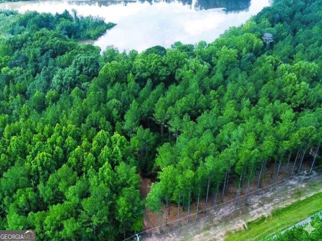 Land for sale in Hogansville, Georgia