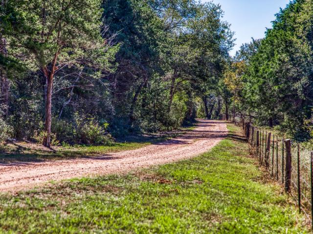 Farm for sale in Chappell Hill, Texas