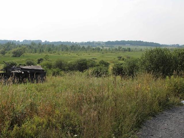 Land for sale in Shoreham, Vermont
