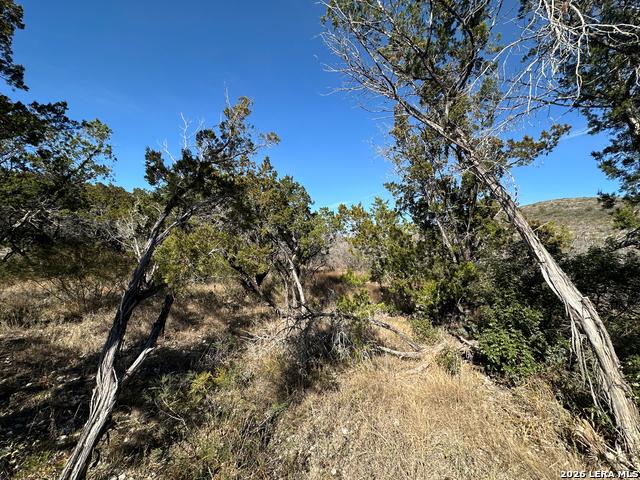 Land for sale in Concan, Texas