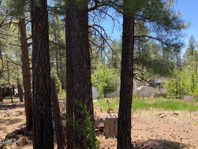 Land for sale in Arizona