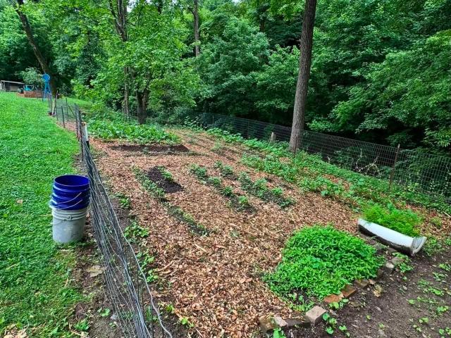 Land for sale in Tennessee